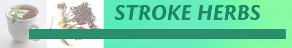 Stroke Herbs Treatment Cure